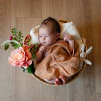 Guillaume VOGEL - STUDIO AUBEJECTIF