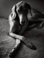 Florent SERFATI - SHOT BY FLOW